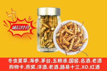 河曲县回收散虫草