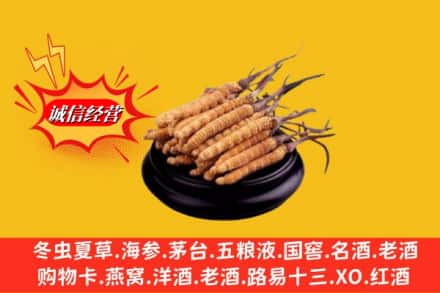 河曲县名酒回收冬虫夏草.jpg